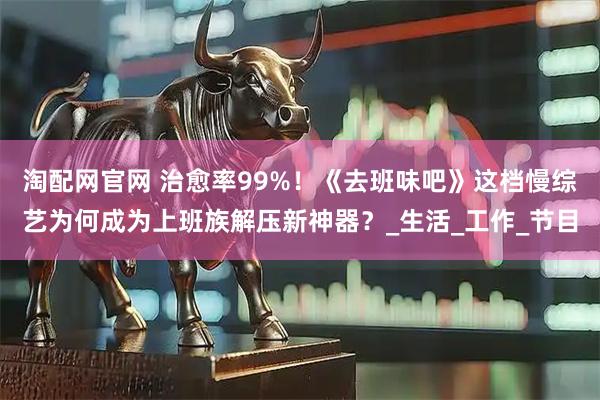 淘配网官网 治愈率99%！《去班味吧》这档慢综艺为何成为上班族解压新神器？_生活_工作_节目